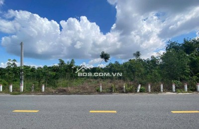 BÁN GẤP 1.250M2 SÁT BÊN CHỢ, TRƯỜNG HỌC ĐƯỜNG THÔNG VÀO KCN ĐÔNG DÂN. GIÁ 190TR