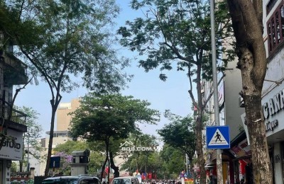 Bán Đất Phố Đội Cấn- BA ĐÌNH. 85m2 =12 Tỷ. 141TR/1M2. SỔ Vuông