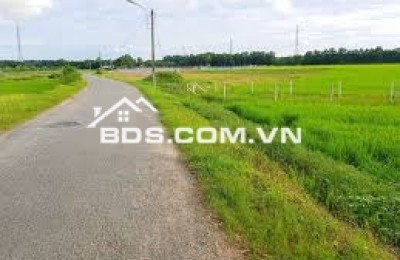 Bán rất gấp Lô đất tại mặt tiền đường Phú Thuận- thuộc xã Phú Mỹ Hưng, huyện Củ Chi, thành phố Hồ Chí Minh .