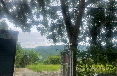 Bán đất Bản Tà Lèng, Phường Thanh Minh, TP. Điện Biên Phủ, Tỉnh Điện Biên