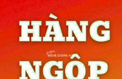 Sỡ hữu ngay căn homestay đẹp gần đường Chế Lan Viên, Q.Ngũ Hành Sơn, TP. Đà Nẵng