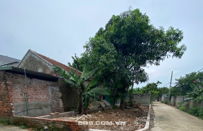 Bán đất 95m2 tại Đông Phương Yên, Chương Mỹ, Hà Nội, giá tốt 3,1 tỷ