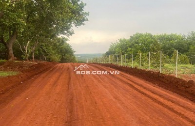 Bán gấp 1000m2 đất vườn giá 230 triệu liên hệ 0706 320 631 gặp AN