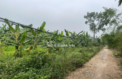CHÍNH CHỦ CẦN BÁN GẤP LÔ ĐẤT VỊ TRÍ ĐẸP BÁM MẶT SÔNG HOÀ BÌNH