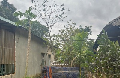 Chính chủ bán 132m2 tại Chiềng Châu, Mai Châu, Hoà Bình