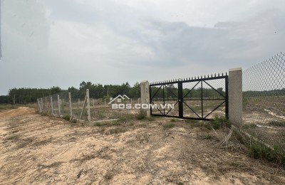 Bán lô đất đẹp 2978m2 (1300m2 thổ) xã Láng dài, Đất đỏ, Bà rịa