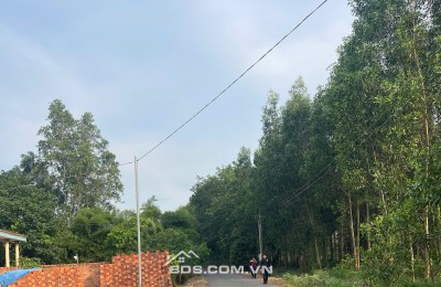 Bán 115m2 đất ở xã An Viễn, tỉnh Đồng Nai, 9,56 tr/m2