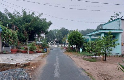 Bán gấp lô đất mặt tiền đường Tân Thông Hội, 173m2 full thổ cư, SHR