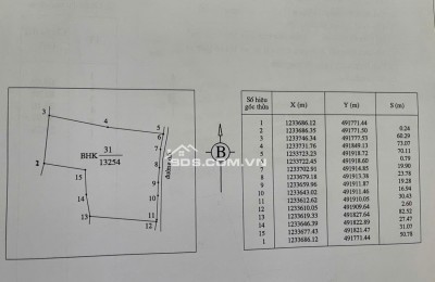 SỔ ĐỎ ĐẤT TRỒNG CÂY HÀNG NĂM NGAY BÀU TRẮNG CHỈ 2OOK/M2