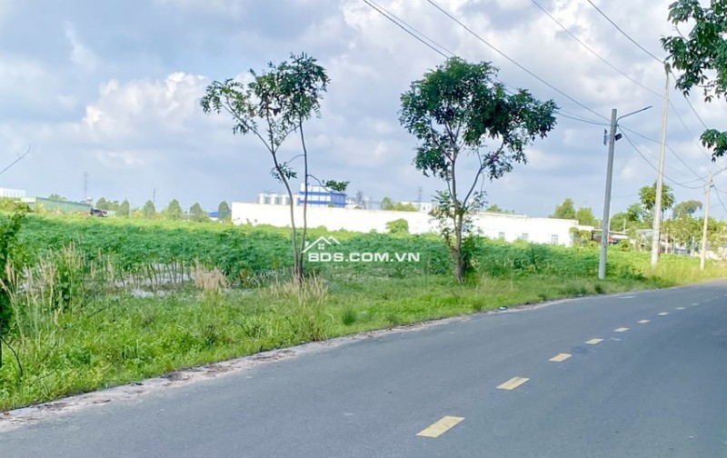KẸT TIỀN BÁN ĐẤT MT ĐƯỜNG NHỰA 1125M2 SHR NGAY KHU CÔNG NGHIỆP ĐÔNG CÔNG NHÂN. GIÁ 890TR