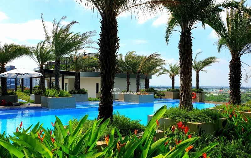 Bán căn hộ 2PN Lavida Plus Quận 7 – 74–80m² – Giá chỉ từ 4,579 tỷ – Nhận nhà ở ngay