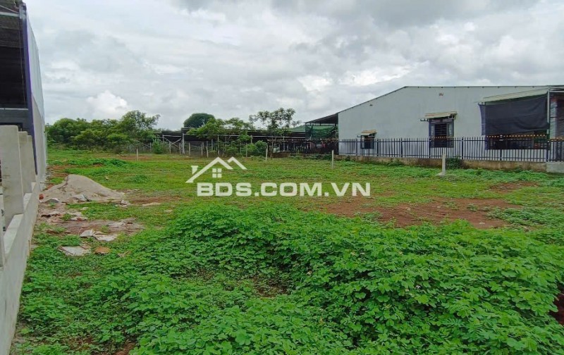 Chính chủ bán đất Bình Phước