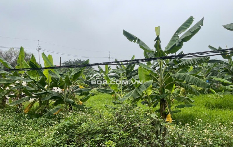 Chính chủ bán lô đất bám mặt sông hoà bình - phù hợp để đầu tư