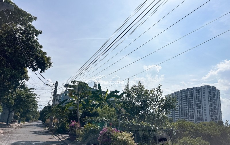 Bán Đất Biệt Thự 305M² – Đường 41 Gò Cát, Phú Hữu, TP. Thủ Đức