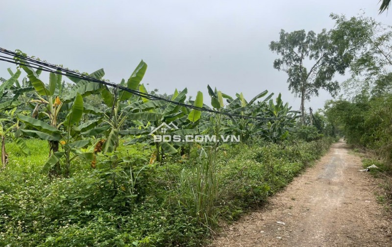 Chính chủ bán lô đất bám mặt sông hoà bình - phù hợp để đầu tư
