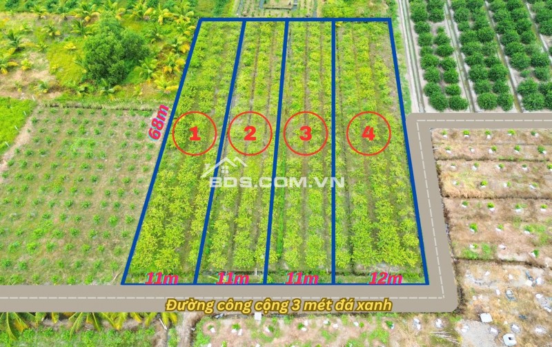 BÁN  740m² đất vườn Ấp 1, Bình Đức chuyển full thổ cư
