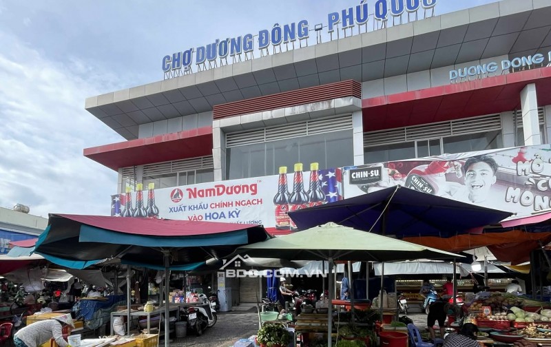 Bán 170m full thổ cư đối diện Dinh Cậu, sẵn dòng tiền cho thuê, giá ngộp bank