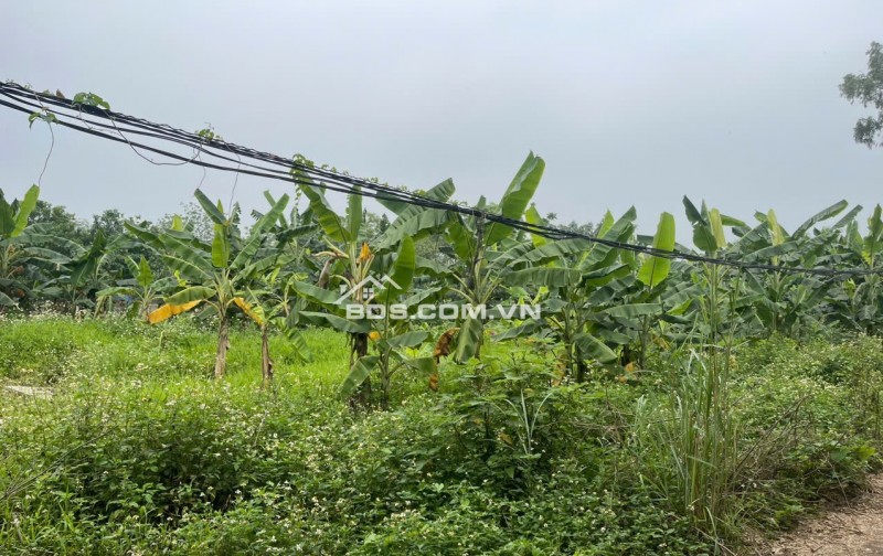 Chính chủ bán lô đất bám mặt sông hoà bình - phù hợp để đầu tư