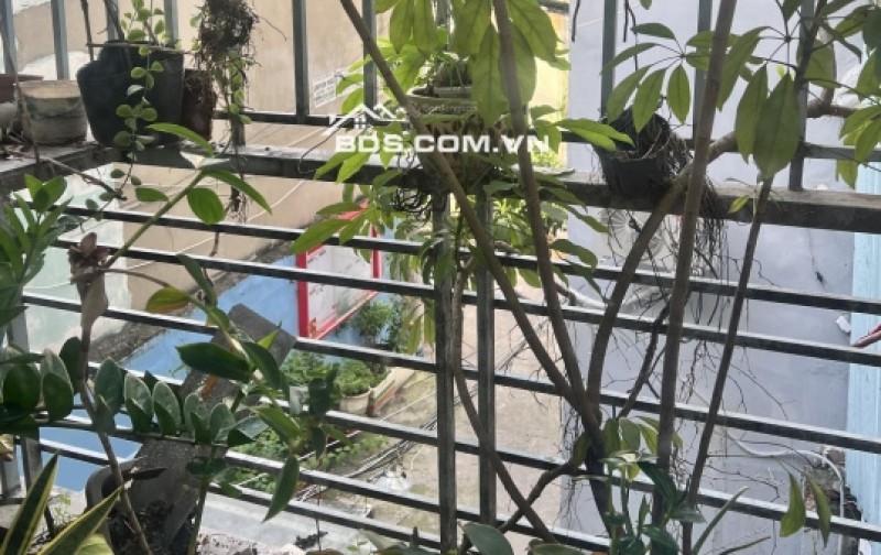 BÁN NHÀ ĐẸP KIẾN TRÚC VIEW RỪNG CÔNG VIÊN 66/ XVNT, P.21, BÌNH THẠNH. Giá 5.8 tỷ, 5PN