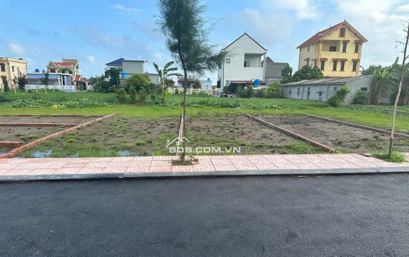 SỐC! 14 Lô Đất Giá Rẻ Nhất Quất Lâm – Vị Trí Đẹp, Sổ SẴN Sang tên