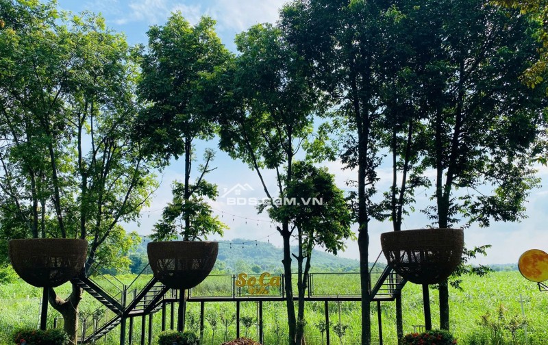 Chính chủ cần bán khu nghỉ dưỡng hơn 2000m² Ba Vì thiết kế hiện đại, view thoáng đẹp.