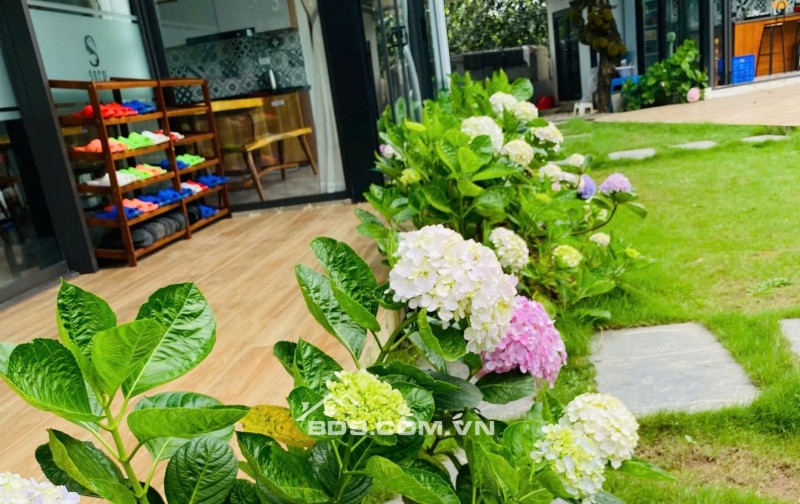 Chính chủ cần bán khu nghỉ dưỡng hơn 2000m² Ba Vì thiết kế hiện đại, view thoáng đẹp.