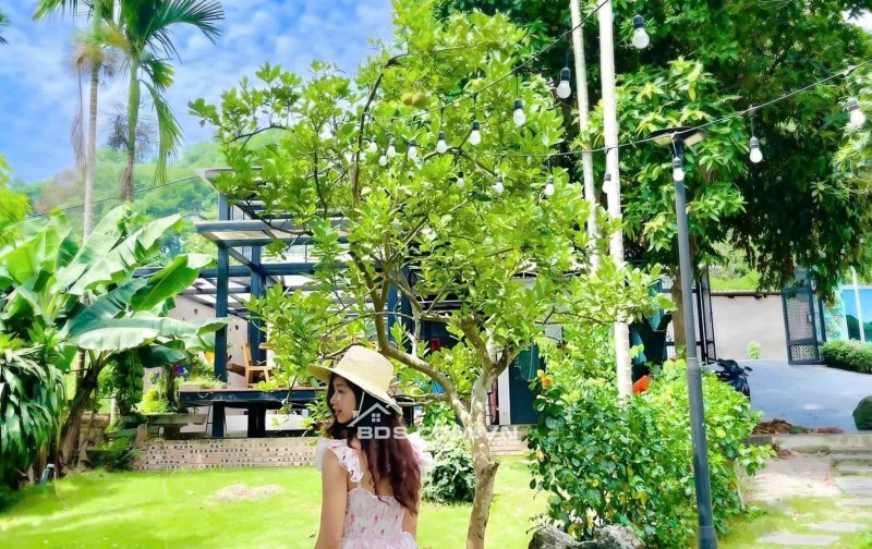 Chính chủ cần bán khu nghỉ dưỡng hơn 2000m² Ba Vì thiết kế hiện đại, view thoáng đẹp.