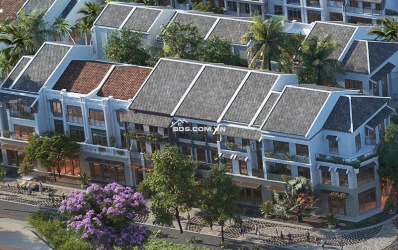 Shophouse, biệt thự liền kề ngay trong trái tim di sản thiên nhiên thế giới Cát Bà