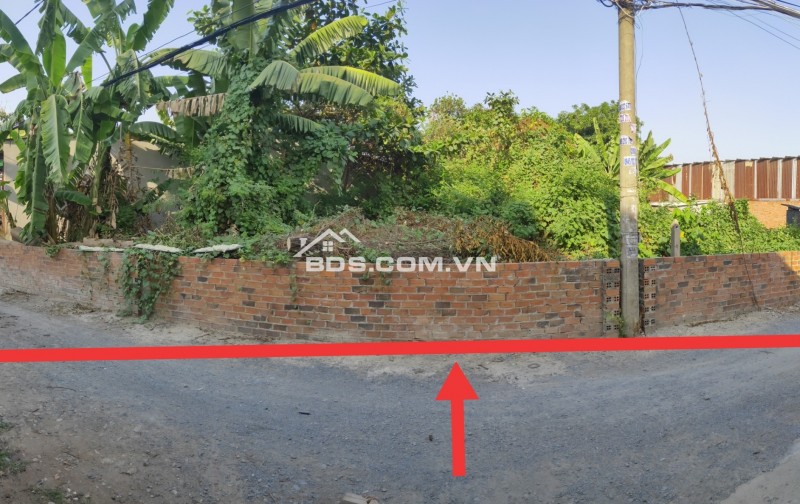 CHO THUÊ/BÁN ĐẤT ĐẸP, DIỆN TÍCH LỚN, GIÁ RẺ Q2 ( Mời a chị e môi giới )