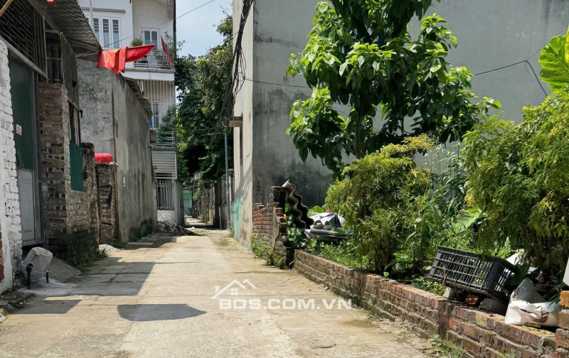  CHỈ CÒN 1 LÔ DUY NHẤT – MAI LÂM ĐÔNG ANH– 68.5M² – GIÁ TỐT BẤT NGỜ! 