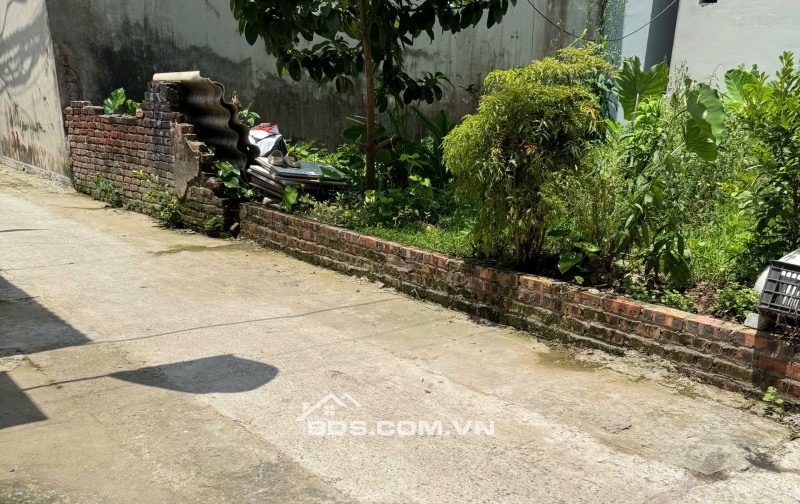  CƠ HỘI ĐẦU TƯ SIÊU LỢI NHUẬN – ĐẤT VÀNG MAI LÂM, ĐÔNG ANH – 51M² 