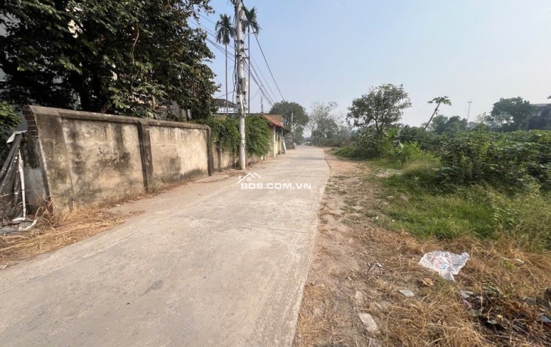 HÀNG HIẾM – KHÓ TÌM – LÔ ĐẤT T2 MAI LÂM ĐÔNG ANH 66M2 ĐẸP TUYỆT!