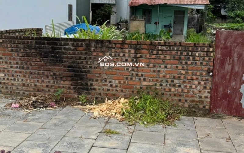 CHÍNH CHỦ BÁN LÔ ĐẤT VÀNG MAI LÂMĐÔNG ANH  – SÁT CẦU TỨ LIÊN – 69M² – FULL THỔ CƯ –