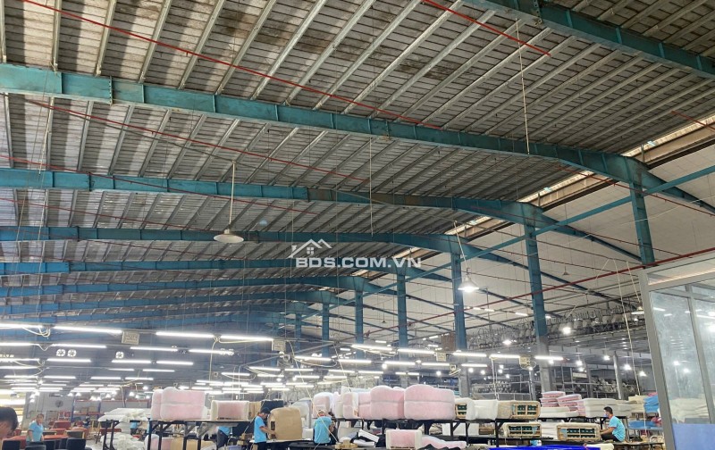 CHÍNH CHỦ CHO THUÊ HOẶC HỢP TÁC KINH DOANH KHO XƯỞNG TẠI PHƯỜNG TÂN HẠNH, BIÊN HÒA, ĐỒNG NAI
