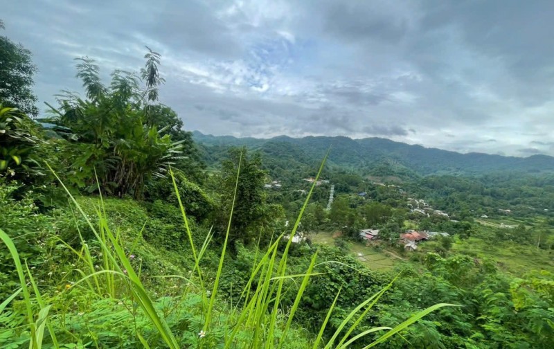 Bán đất cho kho bãi