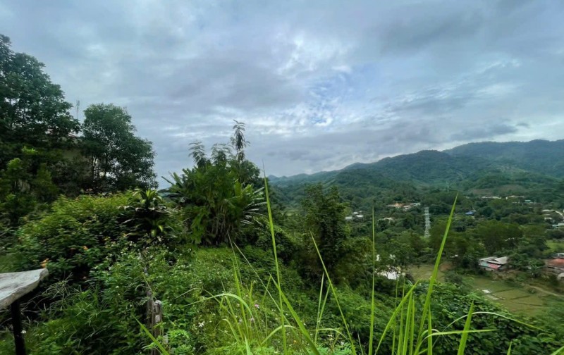 Bán đất cho kho bãi