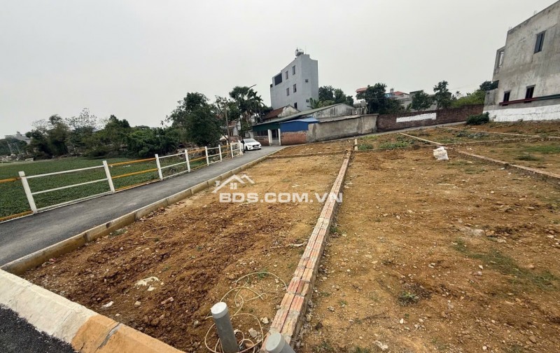 Đất nền Tân Xã, sát khu đấu giá, trường FPT, trường DHQG