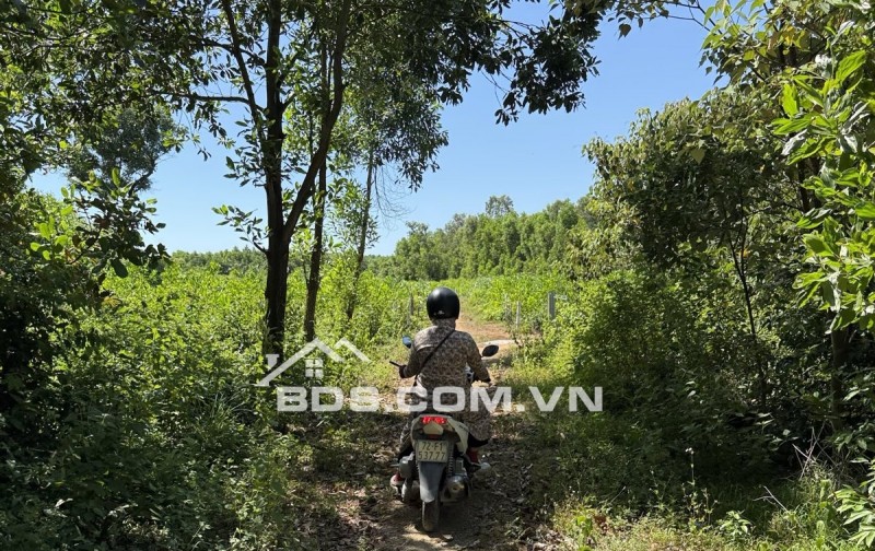 BÁN ĐẤT VƯỜN ĐƯỜNG ĐẸP – SỔ RIÊNG – GIÁ TỐT