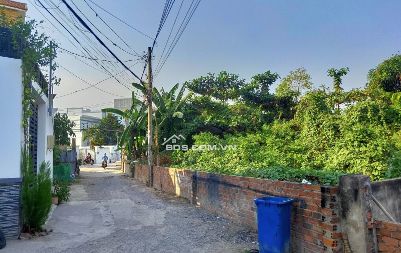 CHO THUÊ/BÁN ĐẤT ĐẸP, DIỆN TÍCH LỚN, GIÁ RẺ Q2 ( Mời a chị e môi giới )