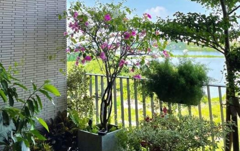 Bán căn siêu phẩm khu vực Cổ Linh