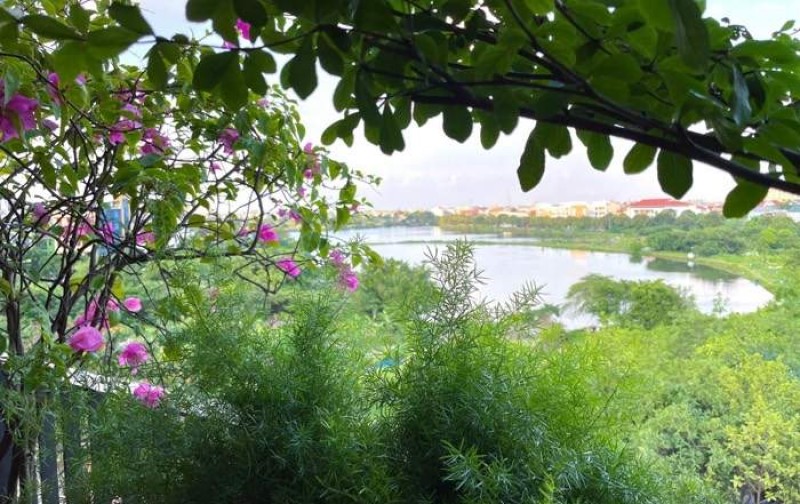 Bán căn siêu phẩm khu vực Cổ Linh
