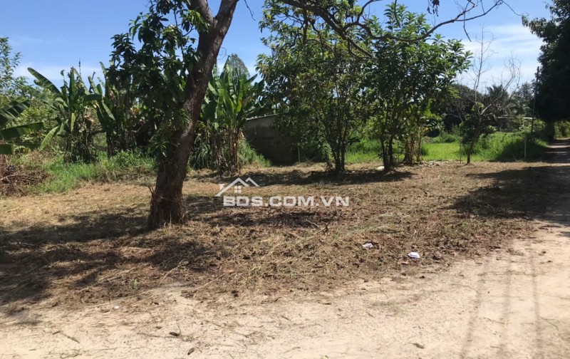 Bán đất mặt tiền Nguyễn Thế Toàn, Gia Kiệm – Thống Nhất – Đồng Nai | 161m² | Giá 1 tỷ 2 trọn sổ