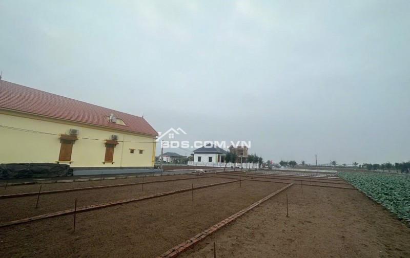 LÔ ĐẤT SIÊU ĐẸP GIÁP BIỂN QUẤT LÂM- CƠ HỘI ĐẦU TƯ SINH LỜI CAO