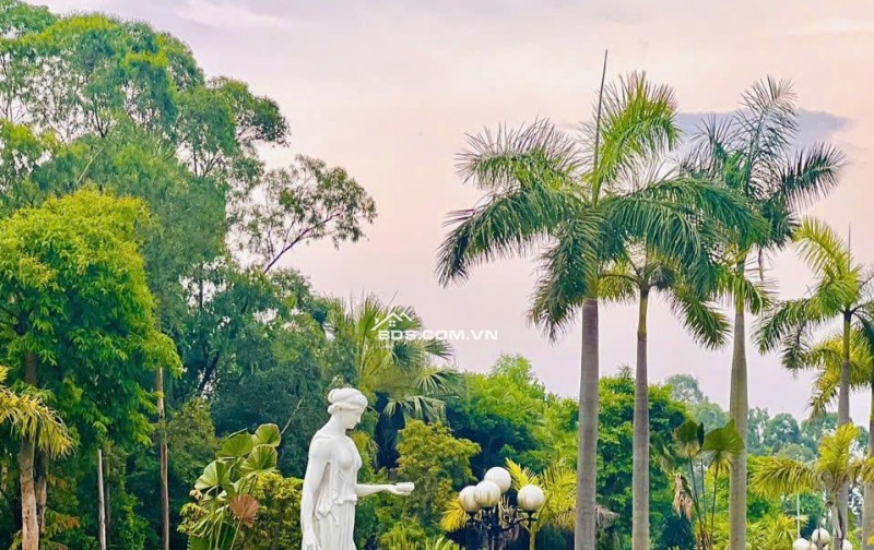 Cần bán 90m2 đất Khu đô thị biển  Hải Hòa, Nghi Sơn,TH đường 17.5m giá chỉ 2Tỷ090. LH 0969 346 836