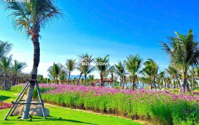 BÁN NỀN PARA GRUS 5C.02 VIEW CÔNG VIÊN, GẦN TRƯỜNG HỌC GIÁ CHỈ 22tr/m - LH 0917678685