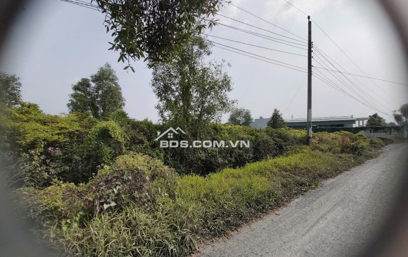 Bán GẤP 4822 m2 đất vườn, ẤP 1, Bình Đức, Bến Lức, Long An. Được lên thổ, đường oto