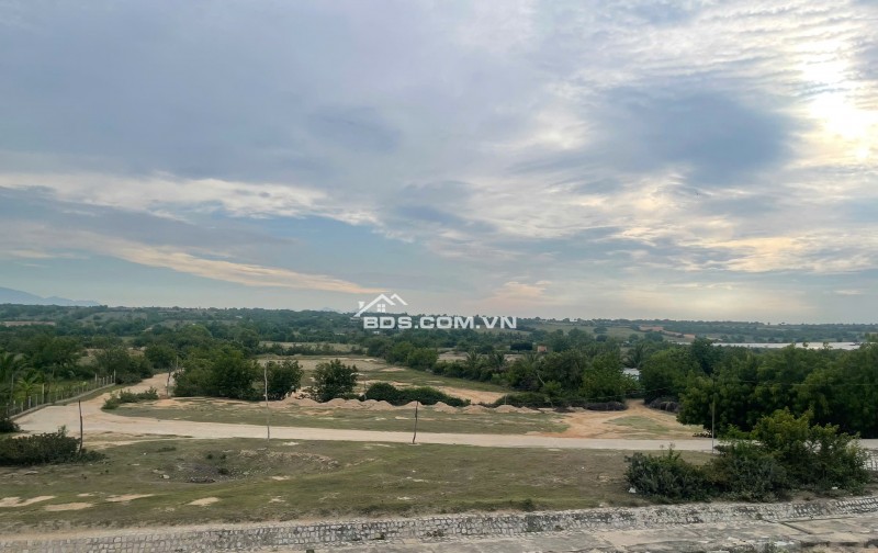 Kẹt tiền bán 6640m2 giá 3,2 tỷ, sổ đỏ, gần khu du lịch Mũi Dinh, Ninh Phước, Ninh Thuận