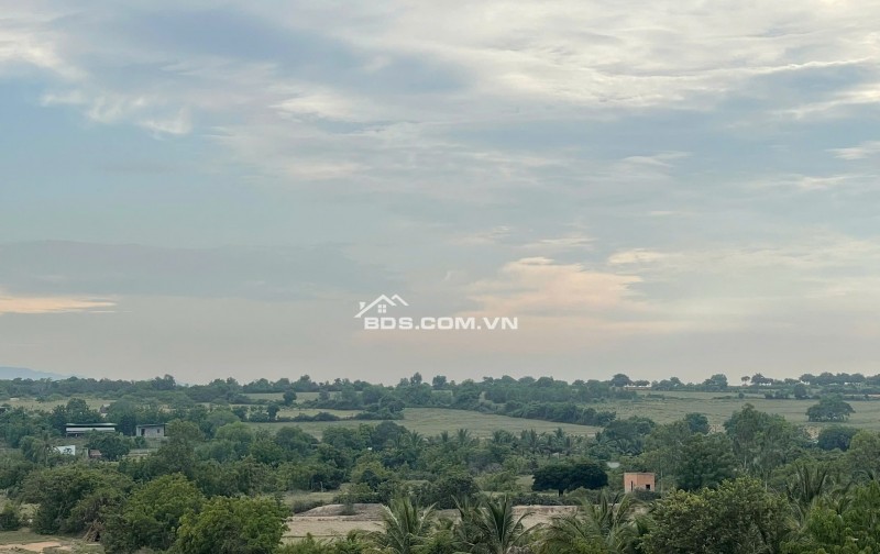 Kẹt tiền bán 6640m2 giá 3,2 tỷ, sổ đỏ, gần khu du lịch Mũi Dinh, Ninh Phước, Ninh Thuận