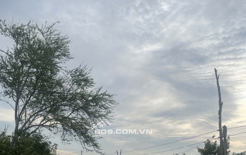 Kẹt tiền bán 6640m2 giá 3,2 tỷ, sổ đỏ, gần khu du lịch Mũi Dinh, Ninh Phước, Ninh Thuận