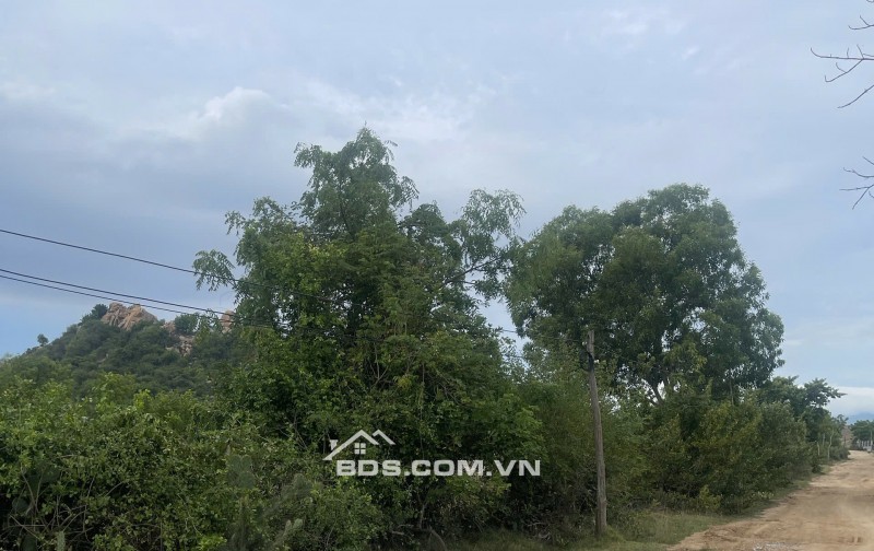 Kẹt tiền bán 6640m2 giá 3,2 tỷ, sổ đỏ, gần khu du lịch Mũi Dinh, Ninh Phước, Ninh Thuận